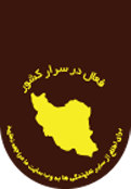 نمایندگان محک